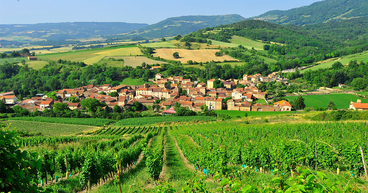 Vigne et village de Boudes