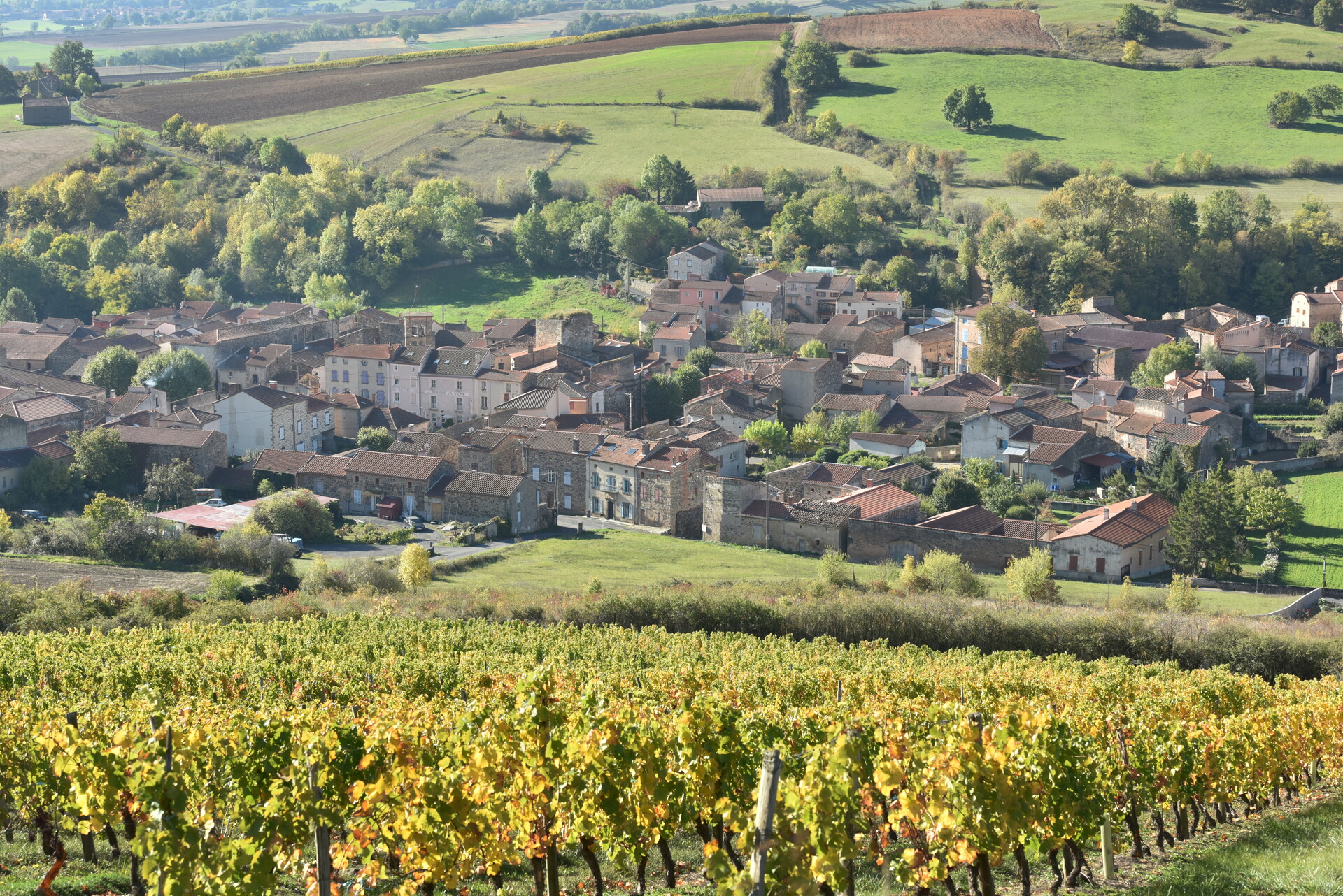 Randonnée vino vélo à Boudes