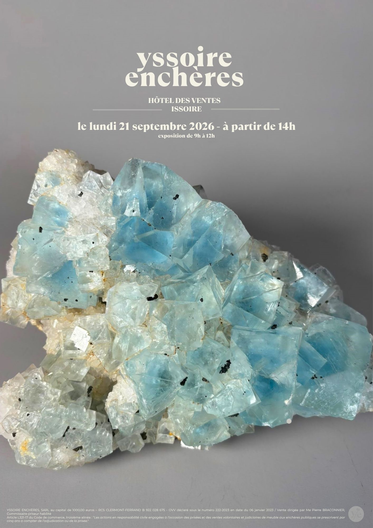 Vente aux enchères - Mineraux et bijoux
